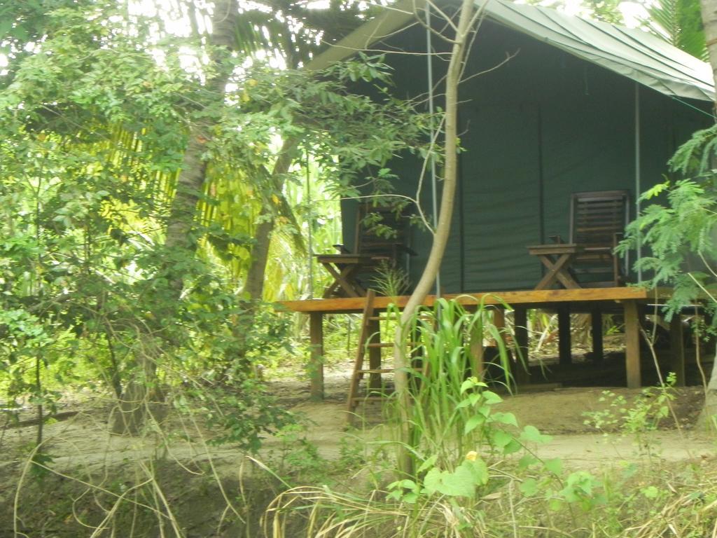 Makulu Safari Camping Uda Walawe Extérieur photo